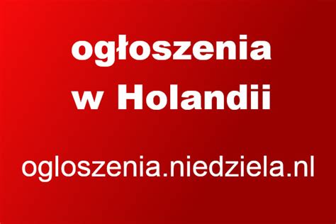 Tysiące ogłoszeń, serwis ogłoszeniowy Polaków w Holandii